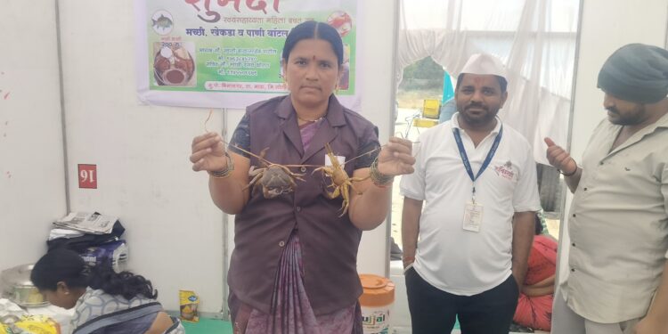 सोलापुरात आला खेकडा, झणझणीत माशाचा रस्सा, खायची संधी सोडू नका ! गड्डा यात्रेच्या जवळच आहे स्पॉट