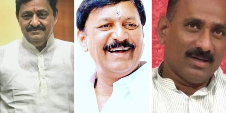 आमदार सुभाष देशमुख, सचिन कल्याणशेट्टी भाजप निरीक्षकांच्या यादीत ; आमदार विजयकुमार देशमुखांचे नाव नाही ; कूछ तो गडबड है दया…