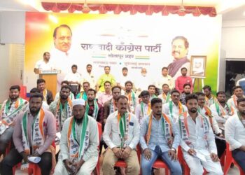 सोलापूर राष्ट्रवादी काँग्रेसची अल्पसंख्यांक शहर कार्यकारिणी जाहीर ; बाबो ! एवढे उपाध्यक्ष