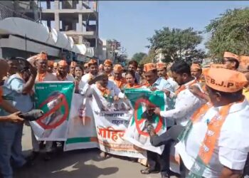 सोलापुरात भाजप कार्यकर्ते झाले आक्रमक ; राहुल गांधी यांचा गाढव गांधी म्हणून उल्लेख