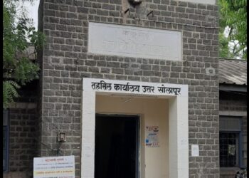 भागाईवाडीच्या सरपंच छाया जाधव यांच्यावर गुन्हा दाखल करा ; तहशीलदाराचे आदेश