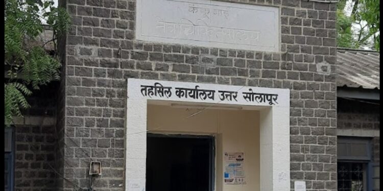 भागाईवाडीच्या सरपंच छाया जाधव यांच्यावर गुन्हा दाखल करा ; तहशीलदाराचे आदेश