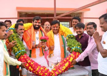 दक्षिण तालुक्यात राम सातपुते यांचे जागोजागी जंगी स्वागत ; सुभाष देशमुखांच्या विकास कामांची साथ