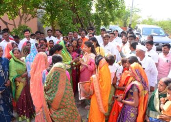 भाजप सरकार शेतकऱ्यांच्या मूळावर उठले ; काँग्रेसच्या प्रणिती शिंदेची टीका