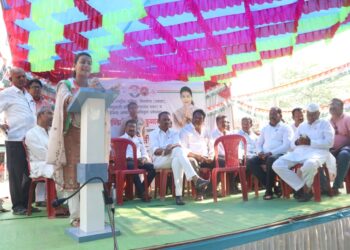 भाजपमुळे लोकशाहीला दृष्ट लागली ; आमदार प्रणिती शिंदे यांचा आरोप