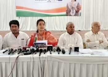 विकासाची भाषा करता मग तिसरा अन् उपरा का? तुमचे खासदार निष्क्रिय हे सिद्ध ; इंडिया आघाडीच्या प्रेसमध्ये प्रणिती शिंदे यांचा सवाल