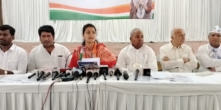 विकासाची भाषा करता मग तिसरा अन् उपरा का? तुमचे खासदार निष्क्रिय हे सिद्ध ; इंडिया आघाडीच्या प्रेसमध्ये प्रणिती शिंदे यांचा सवाल