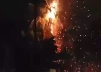 Breaking : सोलापुरात वीज पडून झाड जळून खाक