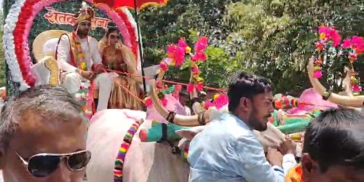 जरा हटके ! चक्क बैलगाडीतून मिरवणूक काढून युवकाने केले लग्न ; बैलाच्या वाढदिनी त्याचा असा ही सन्मान ; पहा व्हिडिओ