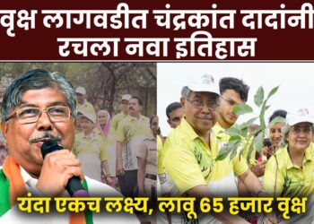 चंद्रकांत पाटील यांच्याकडून ६५ हजार वृक्ष लावण्याच्या मोहिमेची सुरुवात