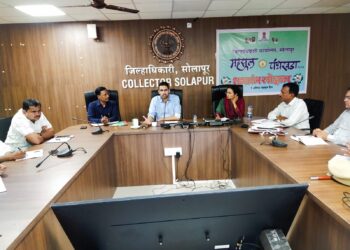 मुख्यमंत्री येणार सोलापूरला ; भेटणार 30 हजार लाडक्या बहिणींना ; भव्य कार्यक्रमाचे जिल्हा प्रशासनाने केले असे नियोजन