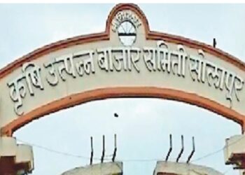 ब्रेकिंग ! सोलापूर बाजार समितीसाठी १० नोव्हेंबरला मतदान ? सात ते अकरा ऑक्टोबर अर्ज भरणा
