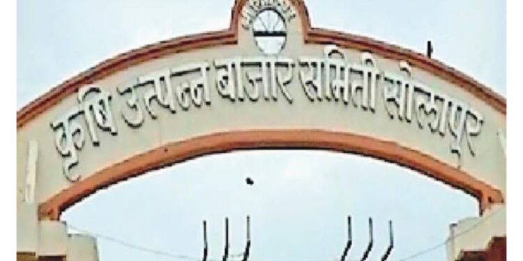 ब्रेकिंग ! सोलापूर बाजार समितीसाठी १० नोव्हेंबरला मतदान ? सात ते अकरा ऑक्टोबर अर्ज भरणा