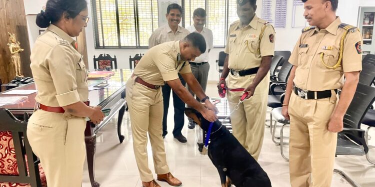 सोलापूर पोलिसांचा स्नुफी राज्यात “लय भारी” ; काय आहे अशी कामगिरी