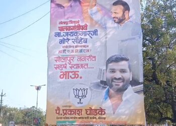 सोलापुरात भाजपच्या पैलवानानं अखेर मारलं मार्केट