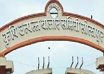 मोठी बातमी : सोलापूर बाजार समिती निवडणूक प्रक्रिया स्थगित ; नव्याने प्रारुप मतदार यादी करण्याचे आदेश