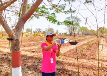 बसवनगर पोलीस पाटीलचा सोलापूर विद्यापीठात “पक्षी जलपात्र” सामाजिक उपक्रम