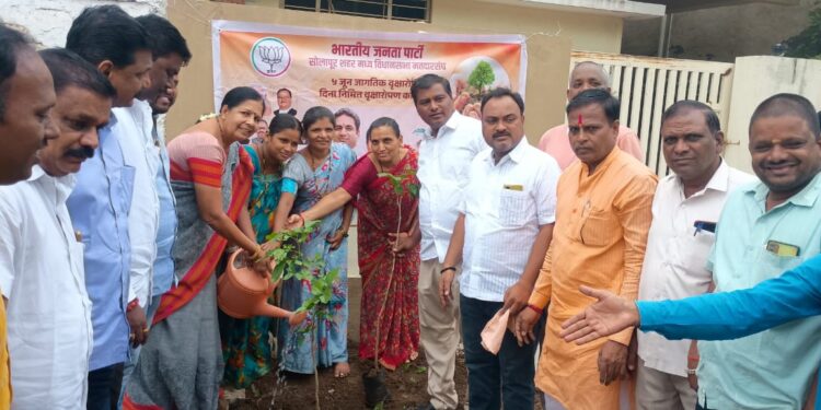 सोलापुरात भाजपने लावली झाडे ; ‘एक पेड माँ के नाम’ काय आहे अभियान