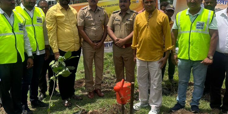 सोलापूर तुळजापूर महामार्गावर वृक्षारोपण ; सह्याद्री फाउंडेशनचा पुढाकार