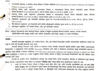 बापरे ! सोलापूर जिल्ह्यात पुन्हा या रोगाचा शिरकाव ; जिल्हाधिकाऱ्यांनी काढला आदेश
