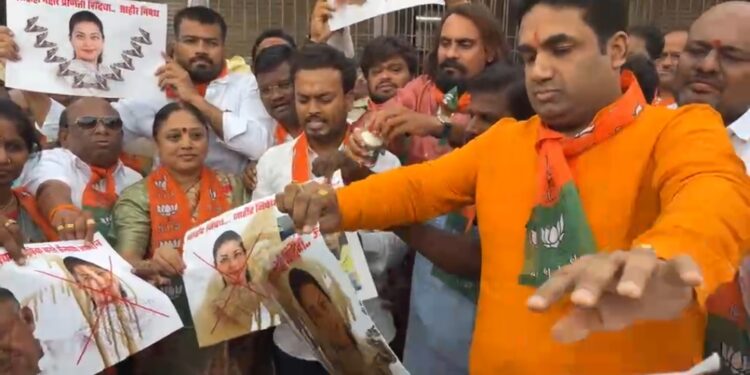 खासदार प्रणिती शिंदे यांचे ते वक्तव्य ; आमदार देवेंद्र कोठे यांनी सोलापूरकरांच्या वतीने मागितली माफी