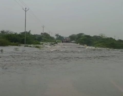 सोलापुरात पावसाचा हाहाकार ; अक्कलकोट हायवेवर पाणी, कुंभारी कारखाना रस्ता बंद, होटगी रोड बंद, विडी घरकुल मध्ये घरात शिरले पाणी VIDEO