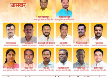 भाजपा सोलापूर मध्य पूर्व मंडल कार्यकारणी जाहीर ; या कार्यकर्त्यांना मिळाली संधी