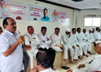 मुख्यमंत्र्यांनी दिलेत अधिकार, आता तुम्ही पाठीशी राहा ; दिलीप माने यांचे बैठकीत कार्यकर्त्यांना आवाहन