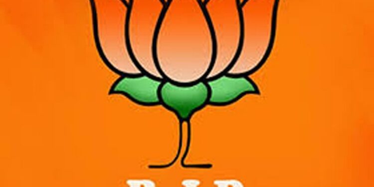 अय्यो हे काय ! भाजपच्या कार्यकर्त्यांचे भाजपच्याच कार्यालयासमोर आंदोलन