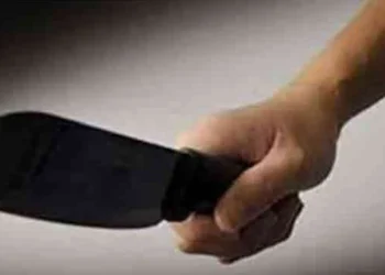 सोलापुरात ‘शाहरुख’चा हातात सत्तूर घेऊन धिंगाणा ; “तेरे को खत्म करता नही तो मेरू को कुच करके तेरो को गुताता”