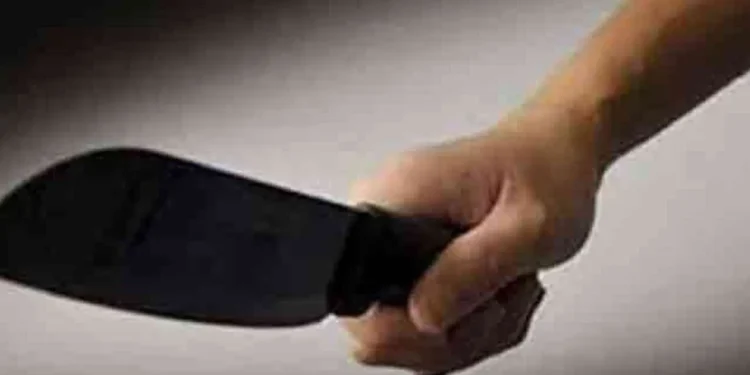 सोलापुरात ‘शाहरुख’चा हातात सत्तूर घेऊन धिंगाणा ; “तेरे को खत्म करता नही तो मेरू को कुच करके तेरो को गुताता”