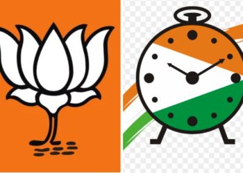 राष्ट्रवादीच्या युवक अध्यक्षाने पालकमंत्री गोरे व आमदार कोठे यांना बालिश म्हणून हिणवले !