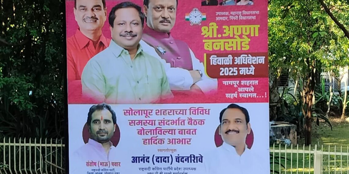 सोलापूरच्या दादा अन् भाऊंची नागपूरमध्ये मार्केटिंग