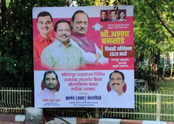 सोलापूरच्या दादा अन् भाऊंची नागपूरमध्ये मार्केटिंग