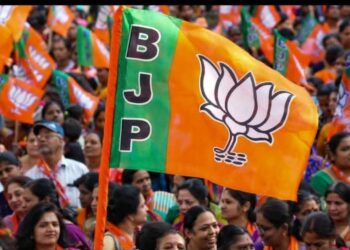 राम सातपुते यांनी मोहिते पाटलांना ताणले !  अकलूजमध्ये भाजपला 10 हजार मते ; चौघांनी रोवला भाजपचा झेंडा