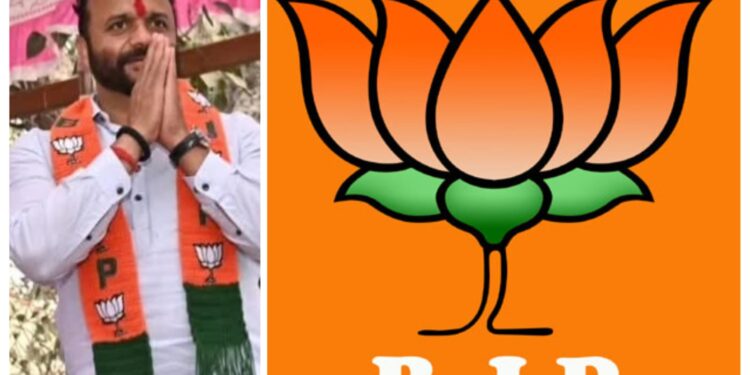 सोलापुरात भाजपचे ऐतिहासिक यश ; 11 पैकी 10 पंचायत समितीवर भाजपचा सभापती ; मोहोळ मध्ये मुस्लिम समाजाला संधी